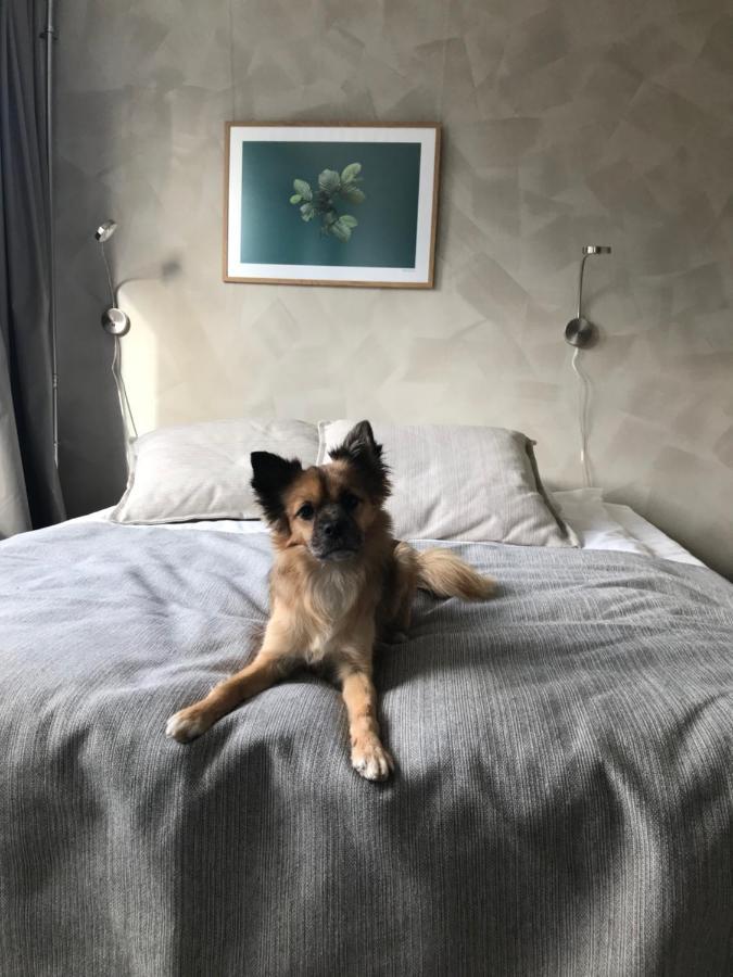 Noli Soernaeinen Hotell 4*